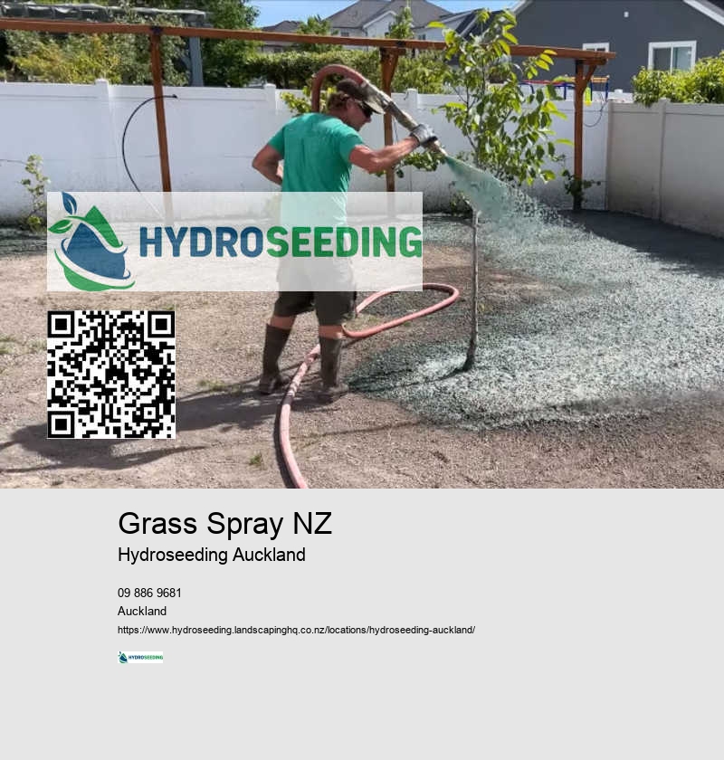 Hydroseeding Grass Installation NZ