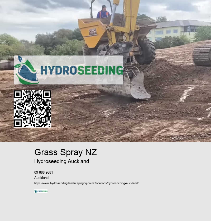 Grass Restoration Auckland