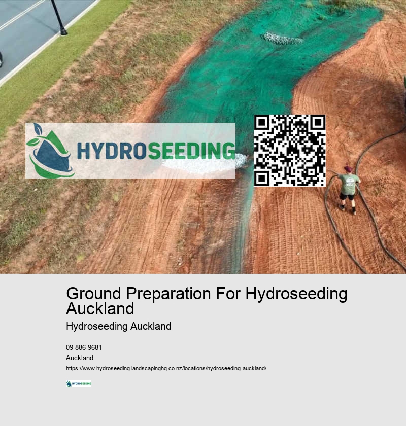 Professional Lawn Seeding Auckland