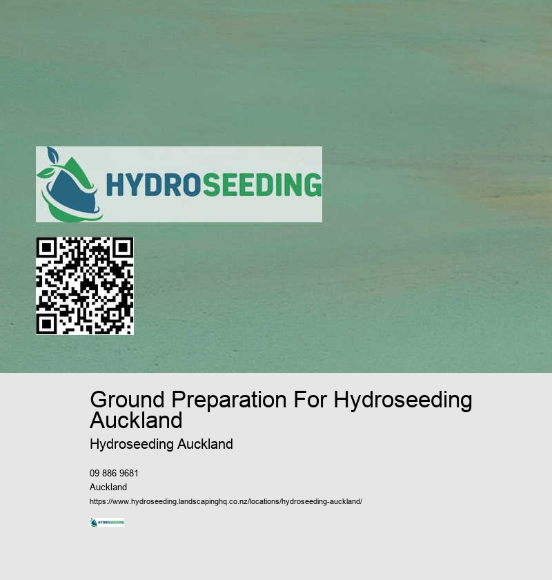 Hydroseeding For Bare Patches NZ