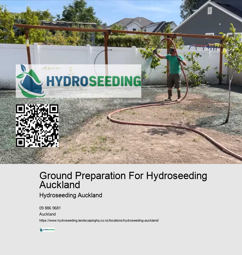 Eco-Friendly Lawn Solutions NZ