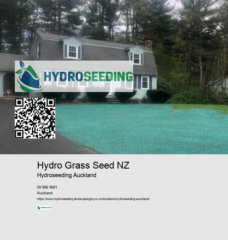 Hydroseeding For Construction Sites Auckland