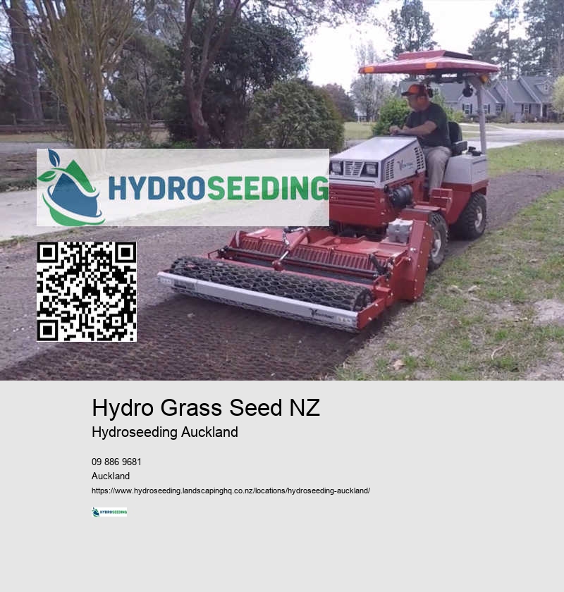 Lawn Seed Auckland