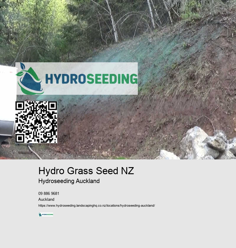 Hydroseeding For Residential Properties NZ