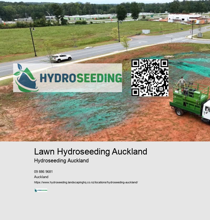 Lawn Hydroseeding Auckland