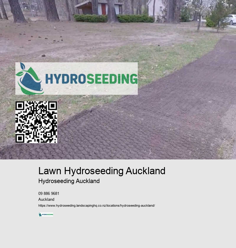 Spray On Grass Seed NZ