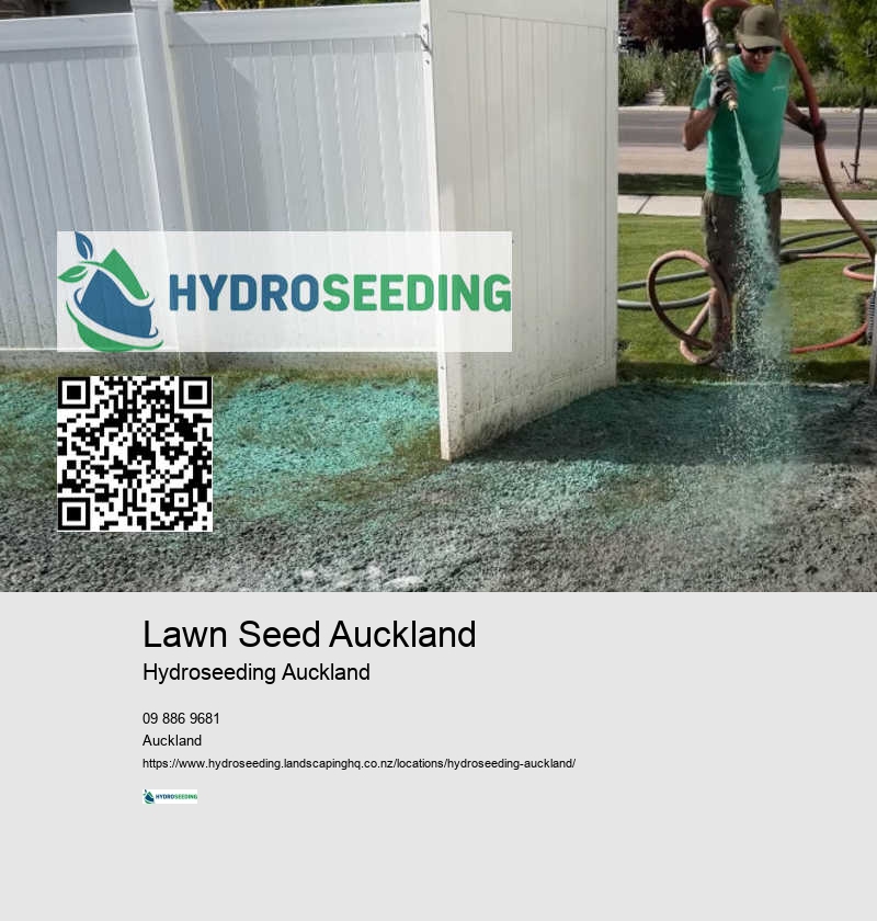 Slope Stabilisation With Hydroseeding Auckland