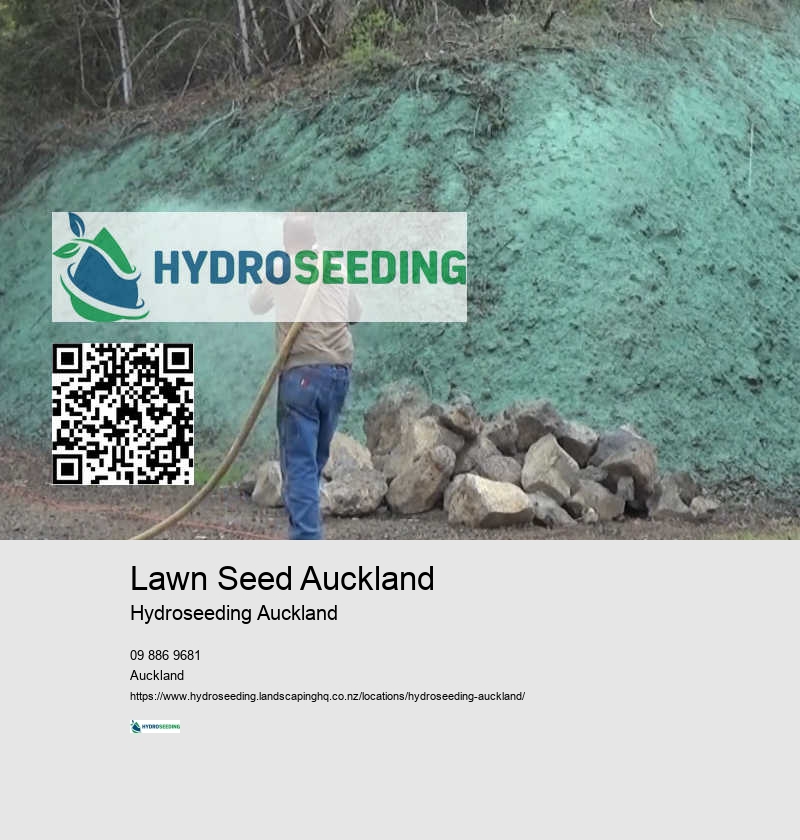 Ground Stabilisation NZ