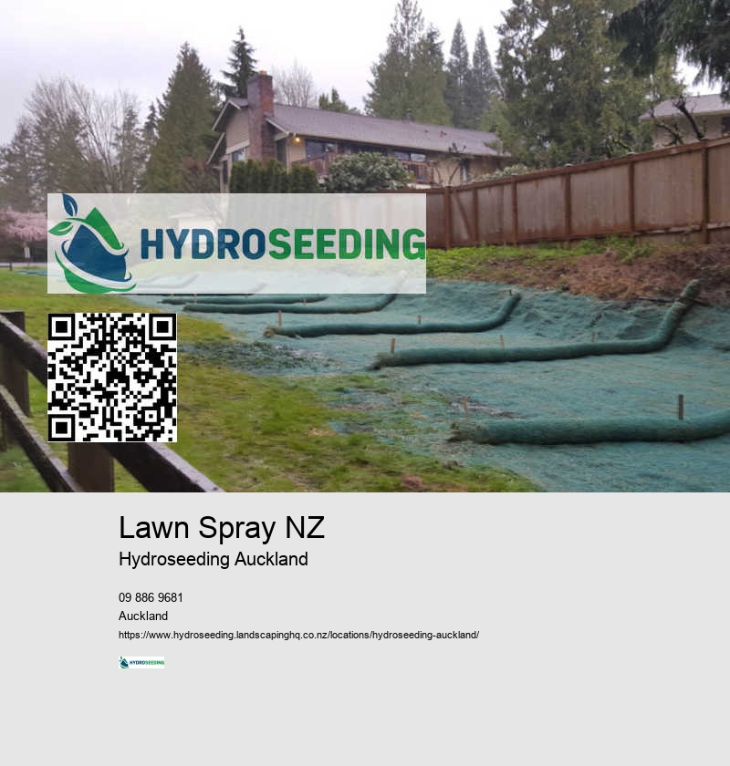 Spray On Lawn Seed NZ