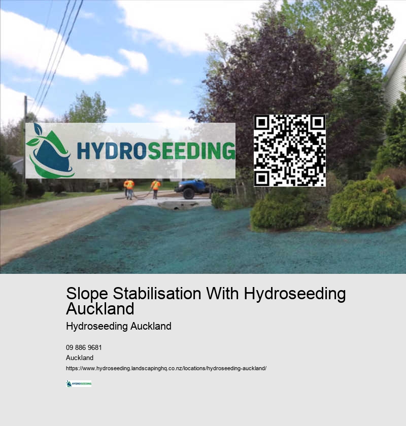 Slope Stabilisation With Hydroseeding Auckland