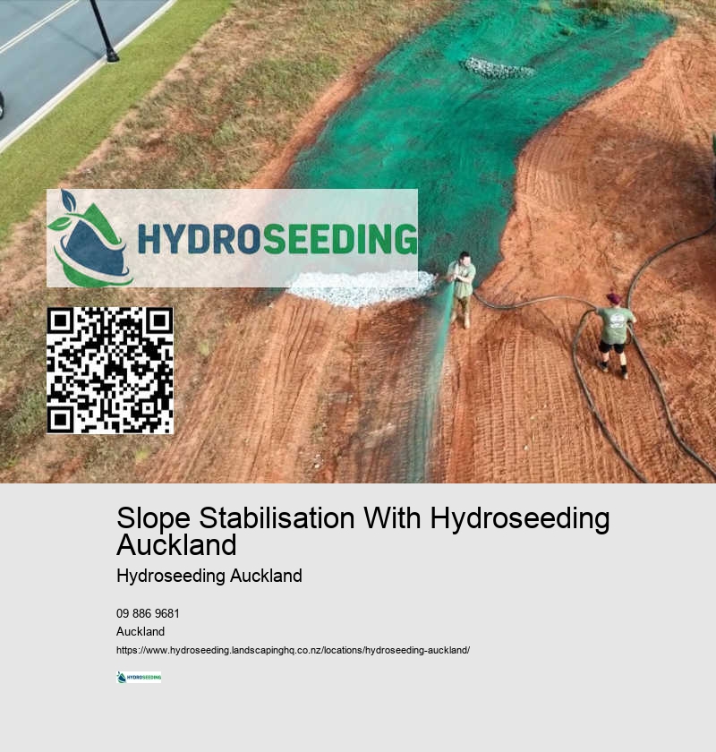 Seed Spraying For Lawns NZ