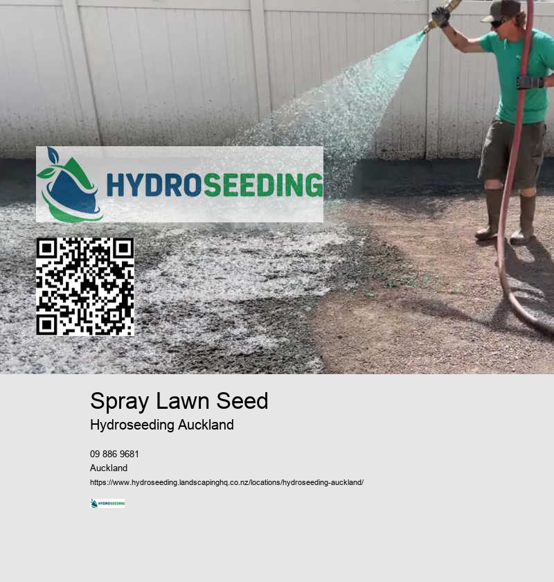 Soil Stabilization Solutions NZ