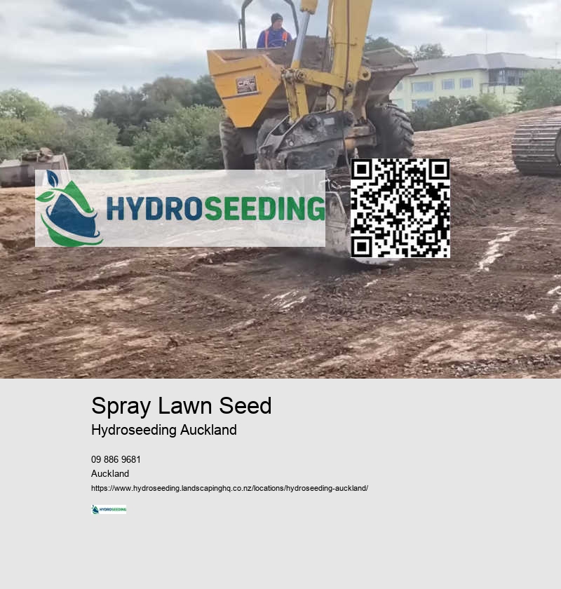 Spray Lawn Seed