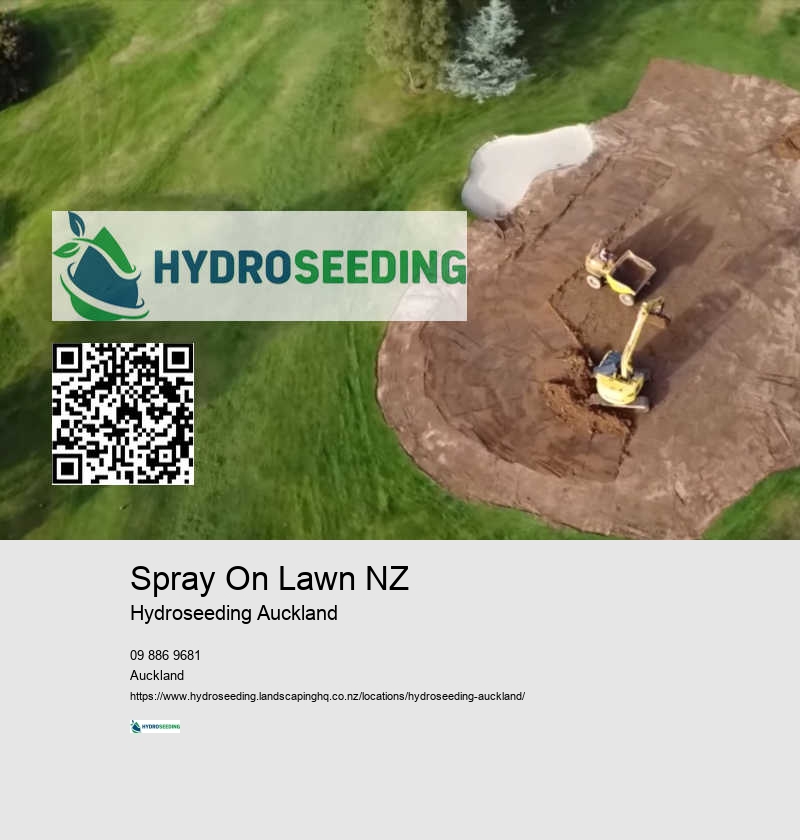 Hydroseeding For Bare Patches NZ