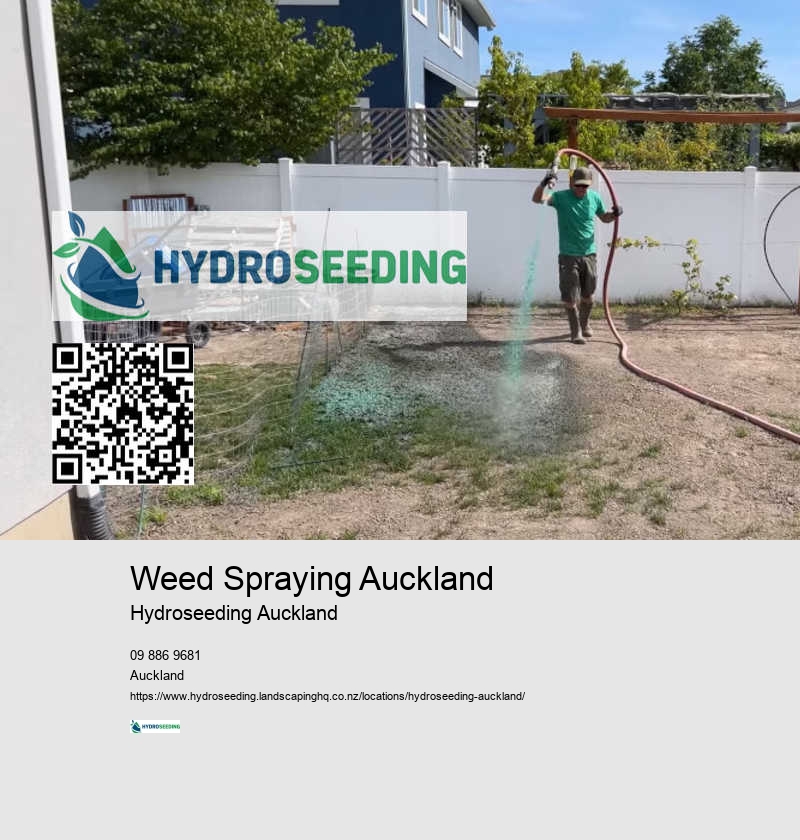 Hydroseeding For Landscapes NZ