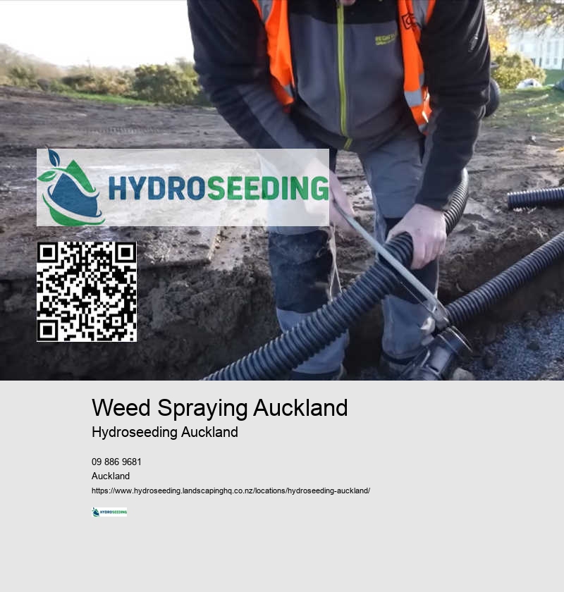 New Lawn Installation NZ