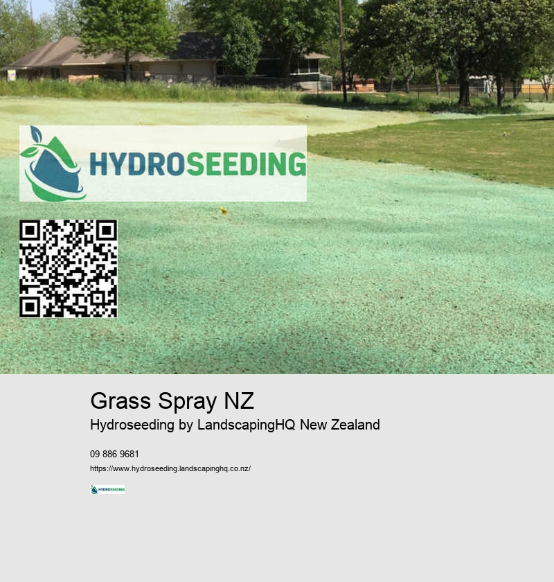 Turf Restoration NZ