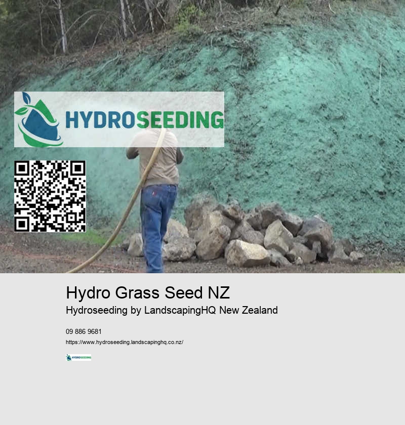 Spray On Lawn NZ