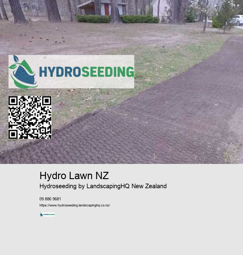 New Lawn Installation Auckland