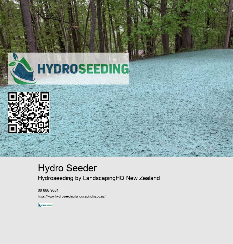 Spray Lawn Seed