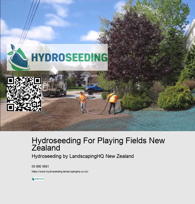 Slope Stabilisation With Hydroseeding New Zealand