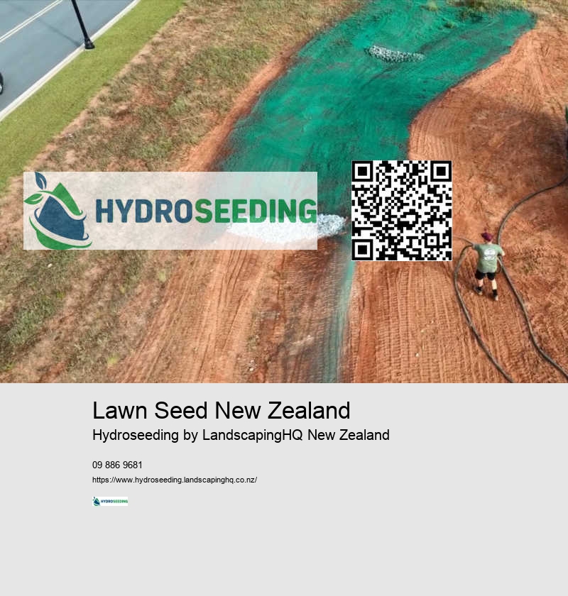 Lawn Seed New Zealand