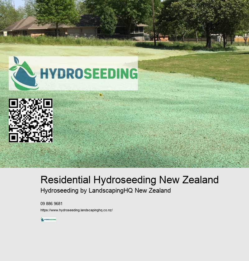 New Lawn Installation Auckland
